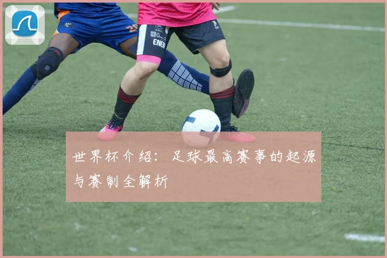 世界杯介绍：足球最高赛事的起源与赛制全解析