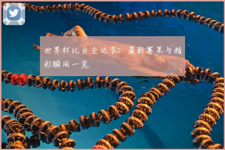 世界杯比分全记录：最新赛果与精彩瞬间一览