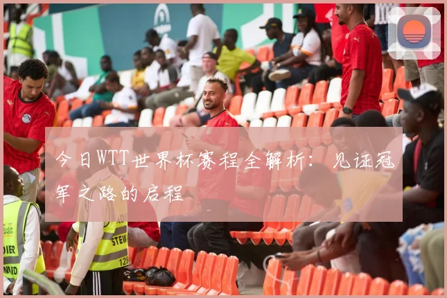 今日WTT世界杯赛程全解析：见证冠军之路的启程