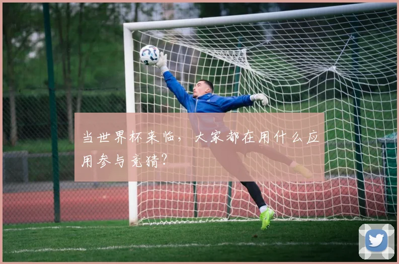 当世界杯来临，大家都在用什么应用参与竞猜？