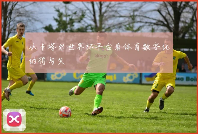 从卡塔尔世界杯平台看体育数字化的得与失