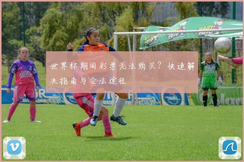 世界杯期间彩票无法购买？快速解决指南与合法途径