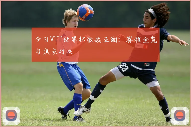 今日WTT世界杯激战正酣：赛程全览与焦点对决
